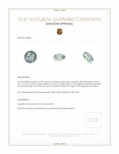 Jewelry Appraisal