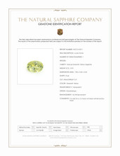 Jewelry Scan Report