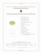 Jewelry Scan Report