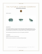 Jewelry Appraisal