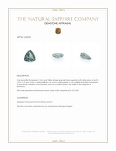 Jewelry Appraisal