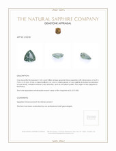 Jewelry Appraisal