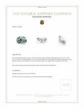 Jewelry Appraisal