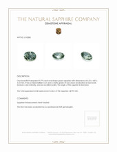 Jewelry Appraisal