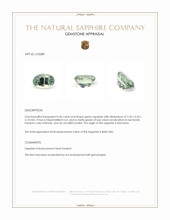 Jewelry Appraisal