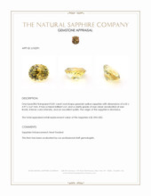 Jewelry Appraisal