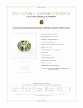 Jewelry Scan Report