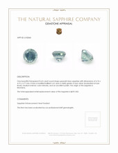 Jewelry Appraisal