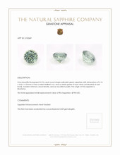 Jewelry Appraisal