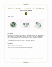 Jewelry Appraisal