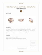 Jewelry Appraisal