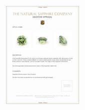 Jewelry Appraisal