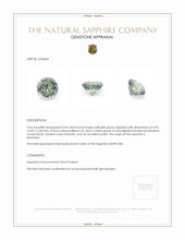 Jewelry Appraisal