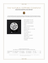 Jewelry Scan Report