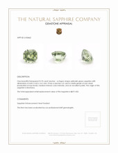 0.70 Ct. Yellowish Green Sapphire from Montana Appraisal