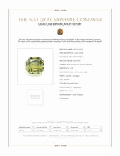 0.82 Ct. Yellowish Green Sapphire from Montana Scan Report