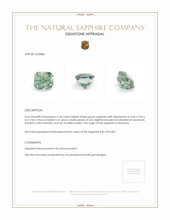 Jewelry Appraisal