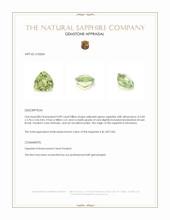 0.89 Ct. Yellowish Green Sapphire from Montana Appraisal