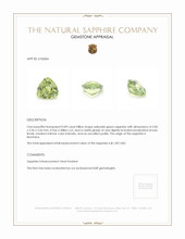0.89 Ct. Yellowish Green Sapphire from Montana Appraisal