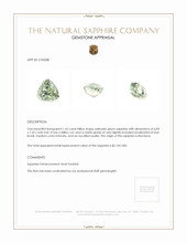 Jewelry Appraisal