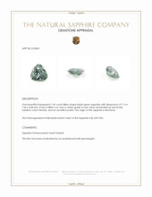 Jewelry Appraisal