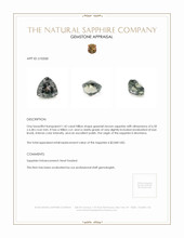 Jewelry Appraisal