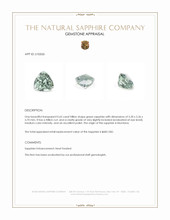 Jewelry Appraisal