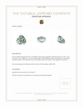 Jewelry Appraisal