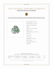 Jewelry Scan Report