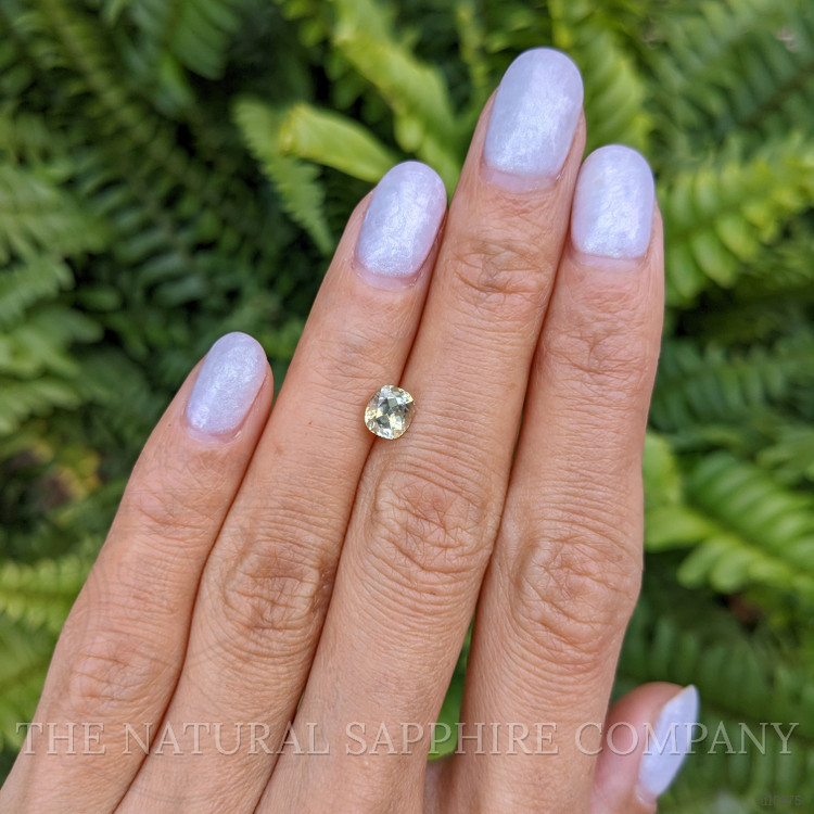 1.01 Ct. Greenish Yellow Sapphire from Montana