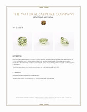 Jewelry Appraisal