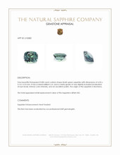 Jewelry Appraisal