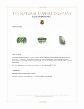 Jewelry Appraisal