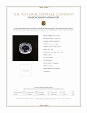 Jewelry Scan Report