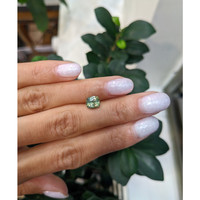 1.74 Ct. Yellowish Green Sapphire from Montana Life Style