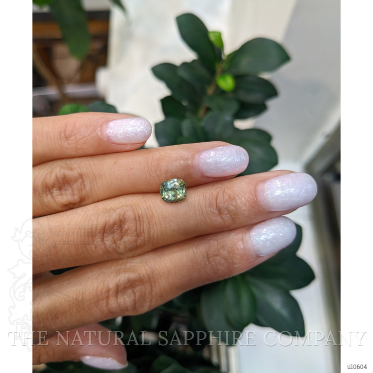 1.74 Ct. Yellowish Green Sapphire from Montana