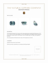 Jewelry Appraisal