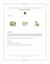 0.62 Ct. Yellowish Green Sapphire from Montana Appraisal