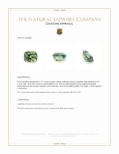 1.21 Ct. Yellowish Green Sapphire from Montana Appraisal