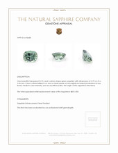 Jewelry Appraisal