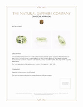 Jewelry Appraisal