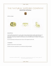 Jewelry Appraisal