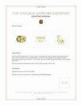 Jewelry Appraisal
