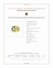 Jewelry Scan Report