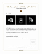 Jewelry Appraisal