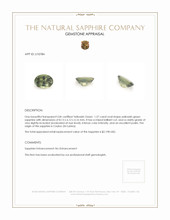 Jewelry Appraisal