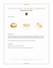 Jewelry Appraisal