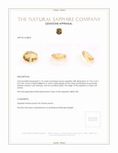 Jewelry Appraisal