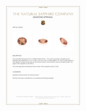 Jewelry Appraisal