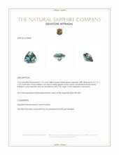 Jewelry Appraisal